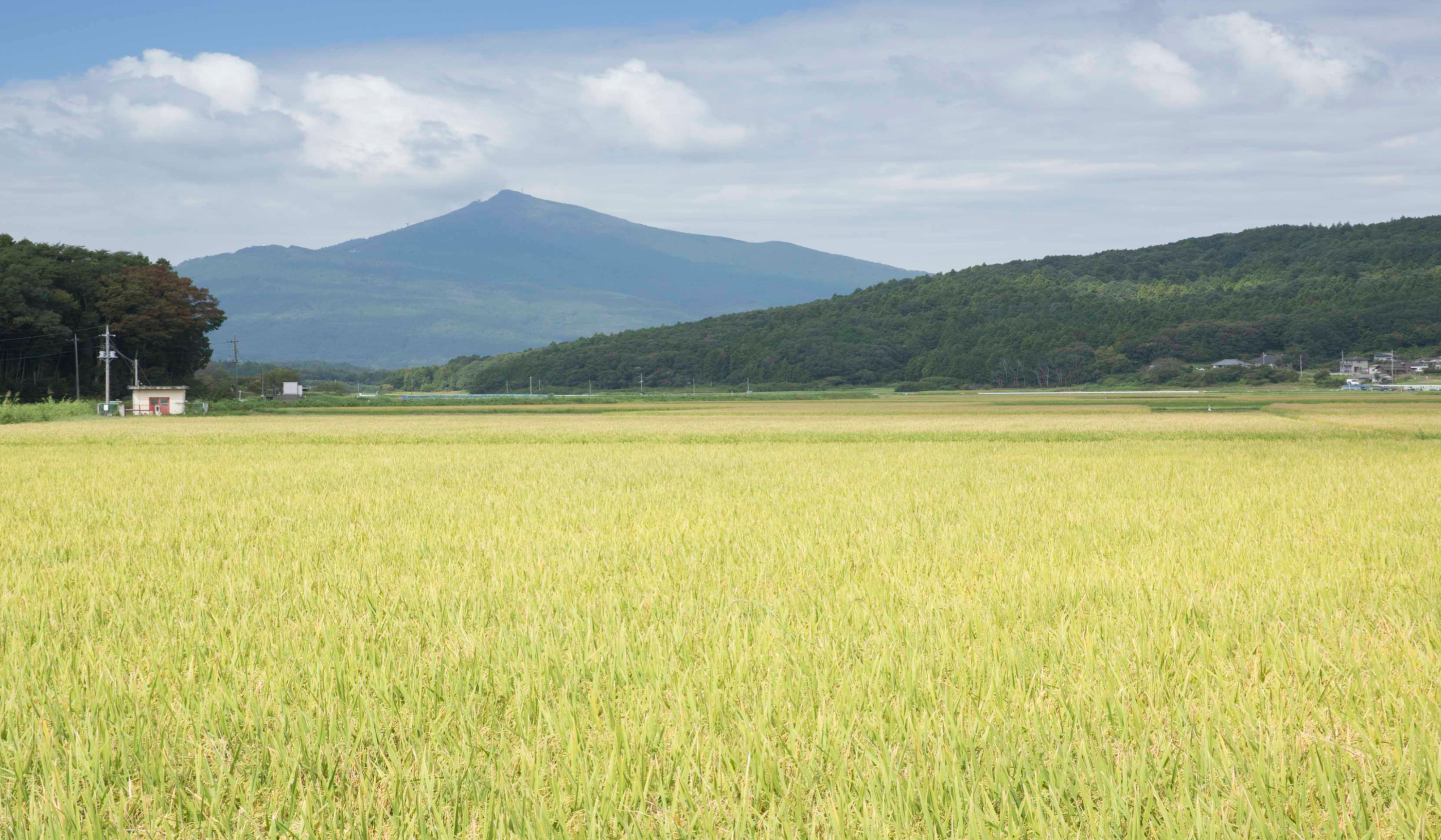 地域との共創イメージ