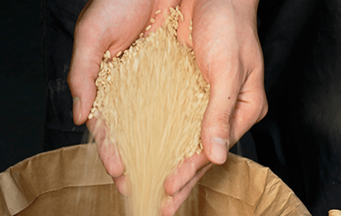 米選びイメージ