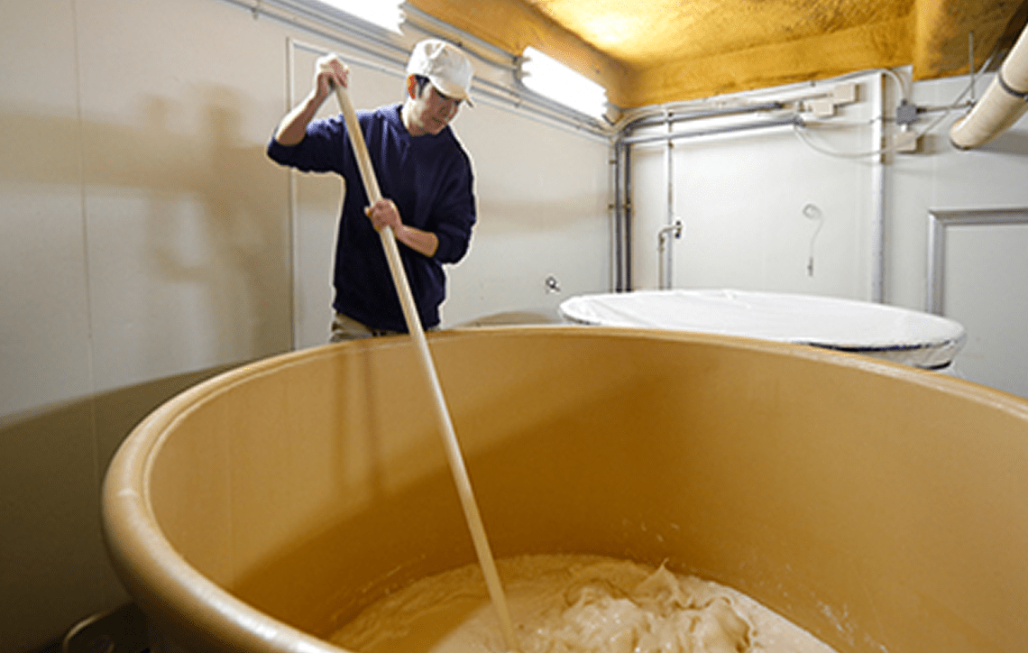 もろみイメージ