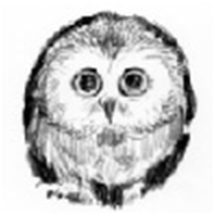 フクロウラベルデザイン05