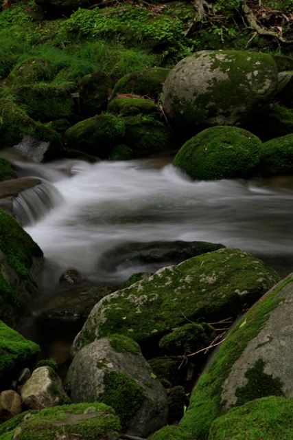 INTRODUCTIONイメージ